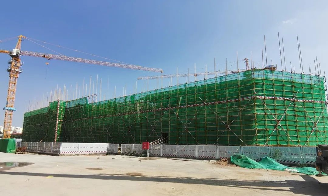 1656721158454200.jpg 640.jpg